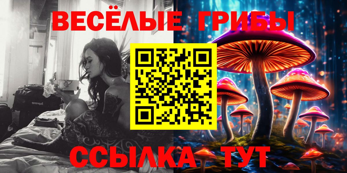 Туймазы  Псилоцибиновые грибы прущие грибы  Вход с VPN 