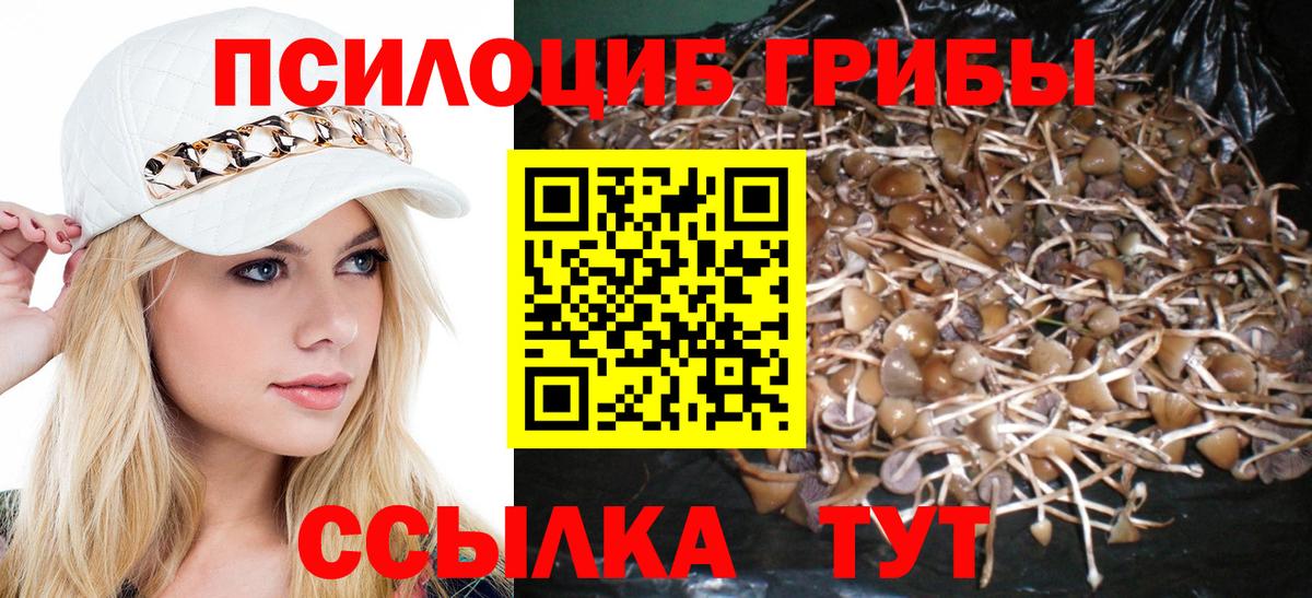 Галлюциногенные грибы прущие грибы Туймазы